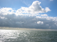 IMG_3822.jpg