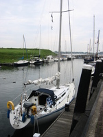 IMG_3828.jpg