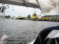 IMG_3831.jpg