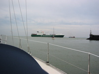 IMG_3833.jpg