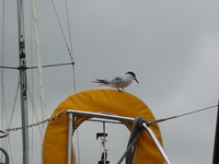 IMG_3851.jpg