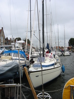 IMG_3854.jpg