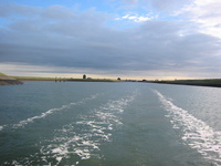 IMG_3856.jpg