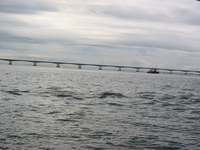 IMG_3858.jpg
