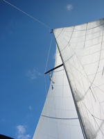 IMG_3866.jpg