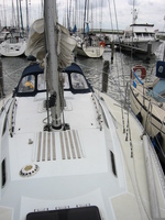 IMG_3869.jpg