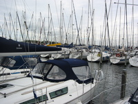 IMG_3870.jpg