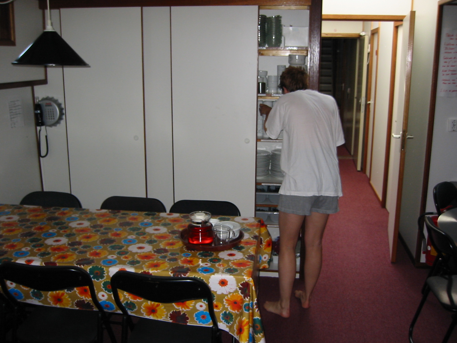 IMG_1766.jpg