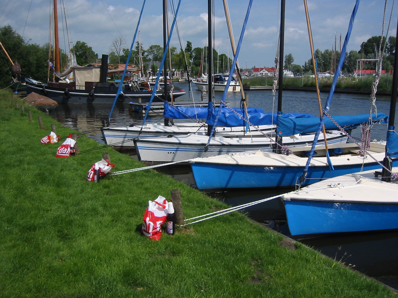 IMG_1774.jpg