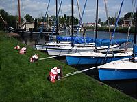 IMG_1774.jpg