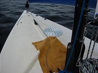 IMG_1781.jpg