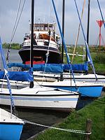 IMG_1844.jpg