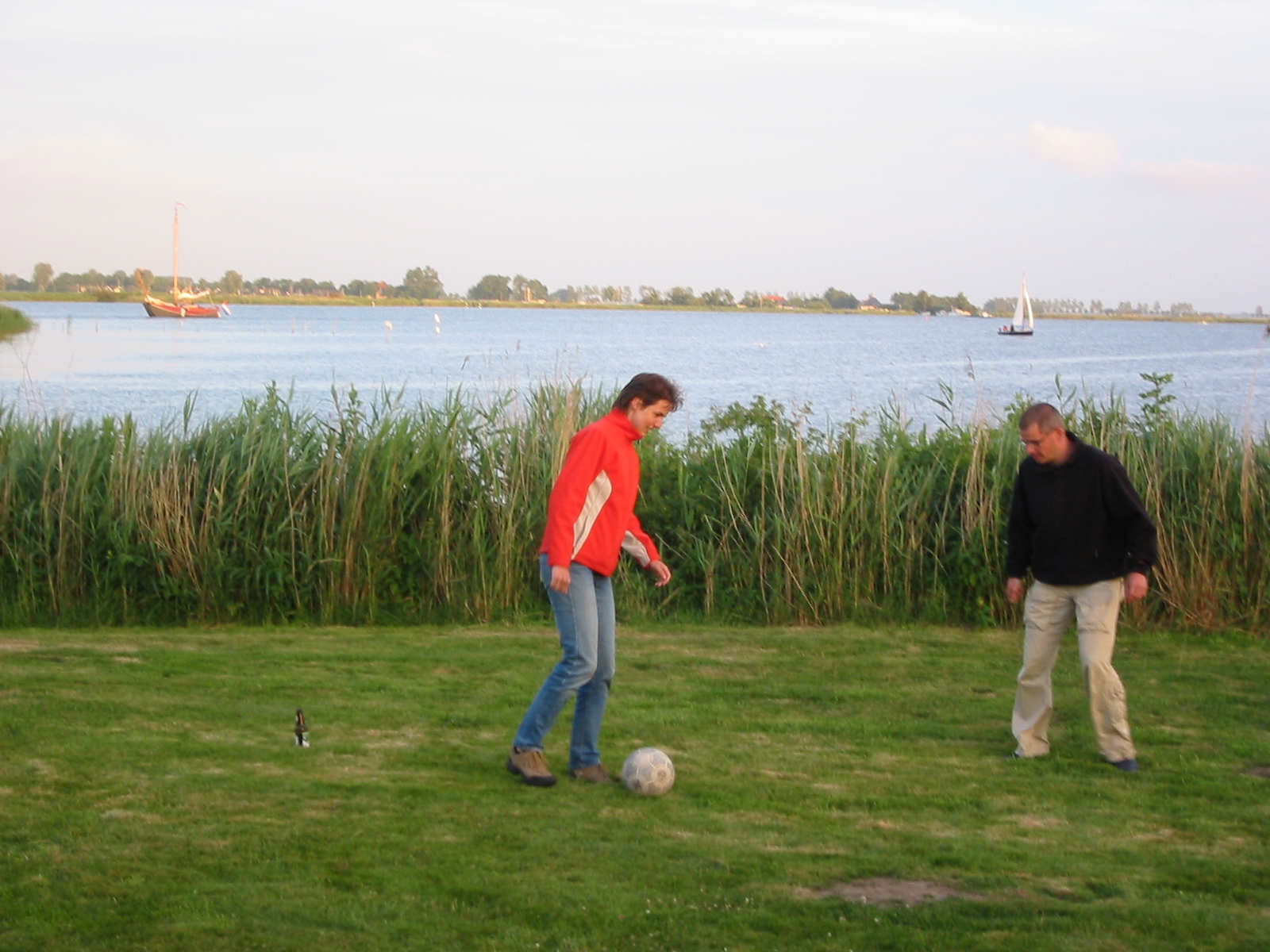 IMG_3029.jpg