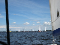 IMG_2051.jpg
