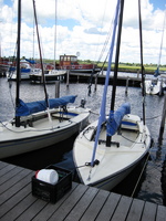 IMG_2127.jpg