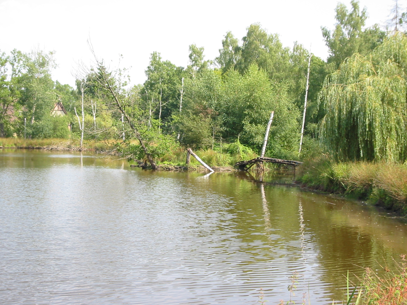 IMG_1872.jpg