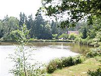 IMG_1869.jpg