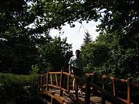 IMG_1870.jpg