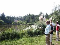 IMG_1871.jpg