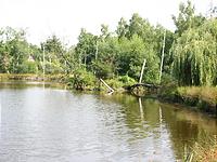 IMG_1872.jpg