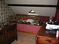 IMG_1875.jpg