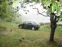 IMG_1884.jpg
