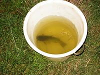 IMG_1906.jpg