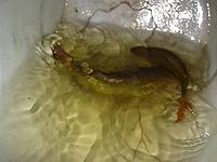 IMG_1912.jpg