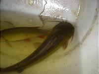 IMG_1913.jpg