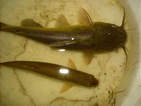 IMG_1914.jpg
