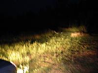 IMG_1960.jpg