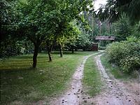 IMG_1968.jpg