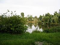 IMG_1969.jpg