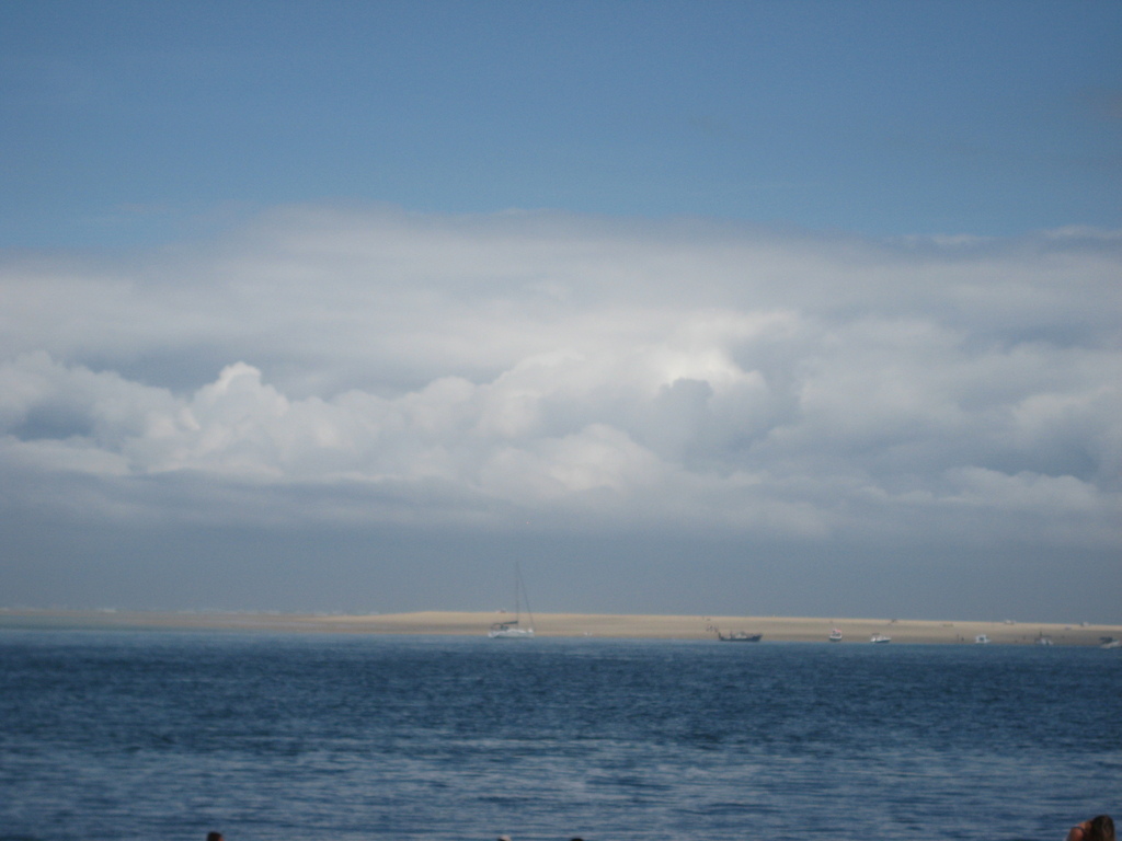 IMG_4993.jpg