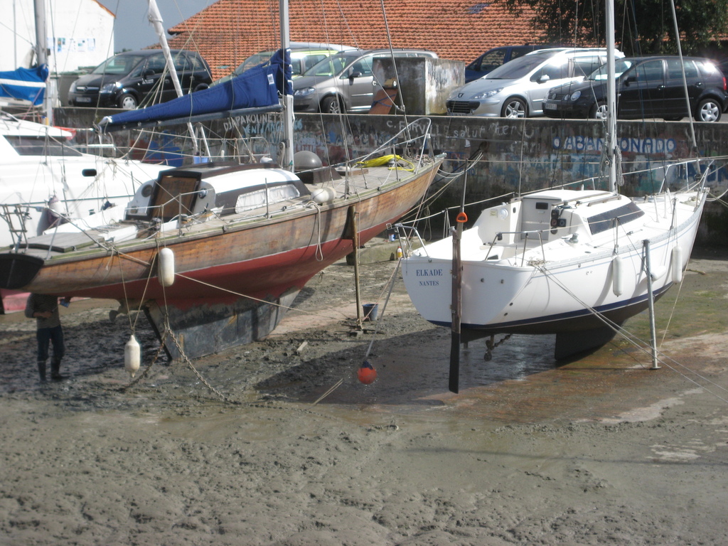 IMG_5009.jpg