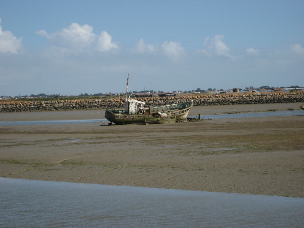 IMG_5013.jpg