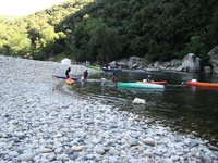 IMG_4959.jpg