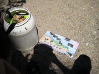 IMG_4966.jpg