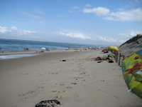 IMG_4992.jpg