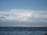 IMG_4993.jpg