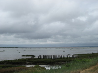 IMG_5000.jpg