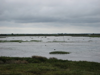 IMG_5002.jpg
