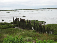 IMG_5004.jpg