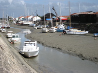 IMG_5007.jpg