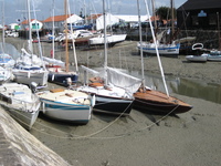 IMG_5008.jpg