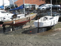 IMG_5009.jpg
