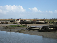 IMG_5011.jpg