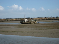 IMG_5013.jpg