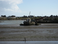 IMG_5014.jpg