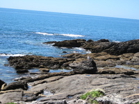 IMG_5020.jpg